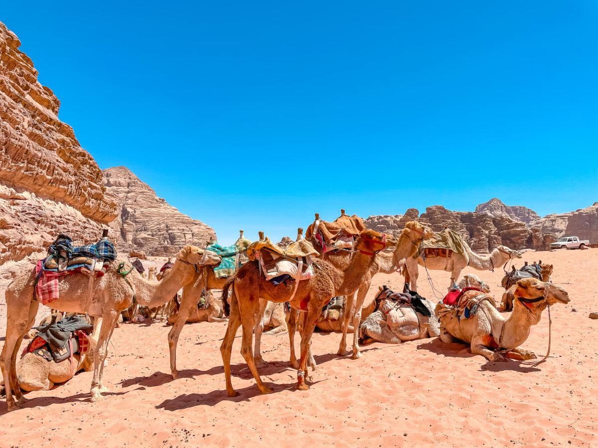 Отель Rum Jordan Camp And Tours Вади-Рам Экстерьер фото